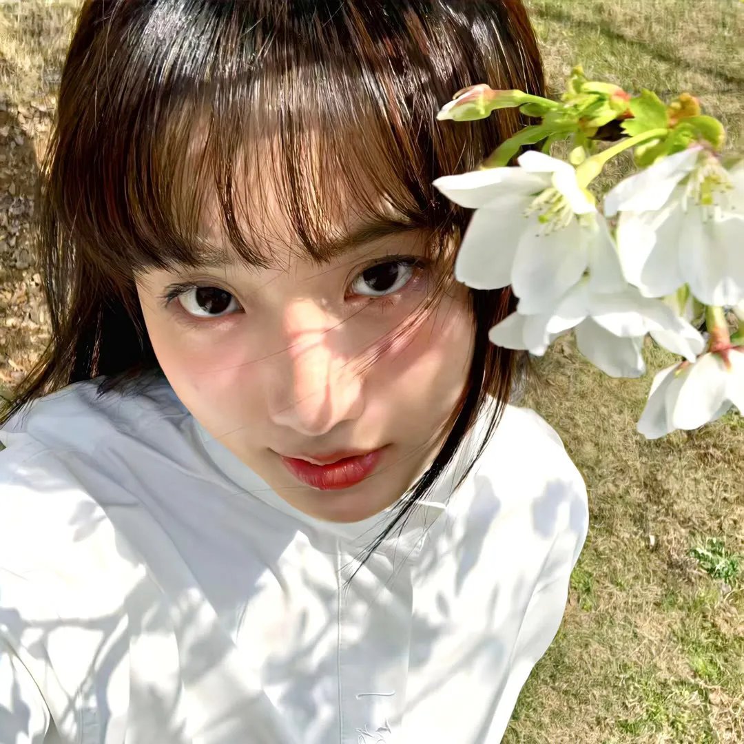 火海情花